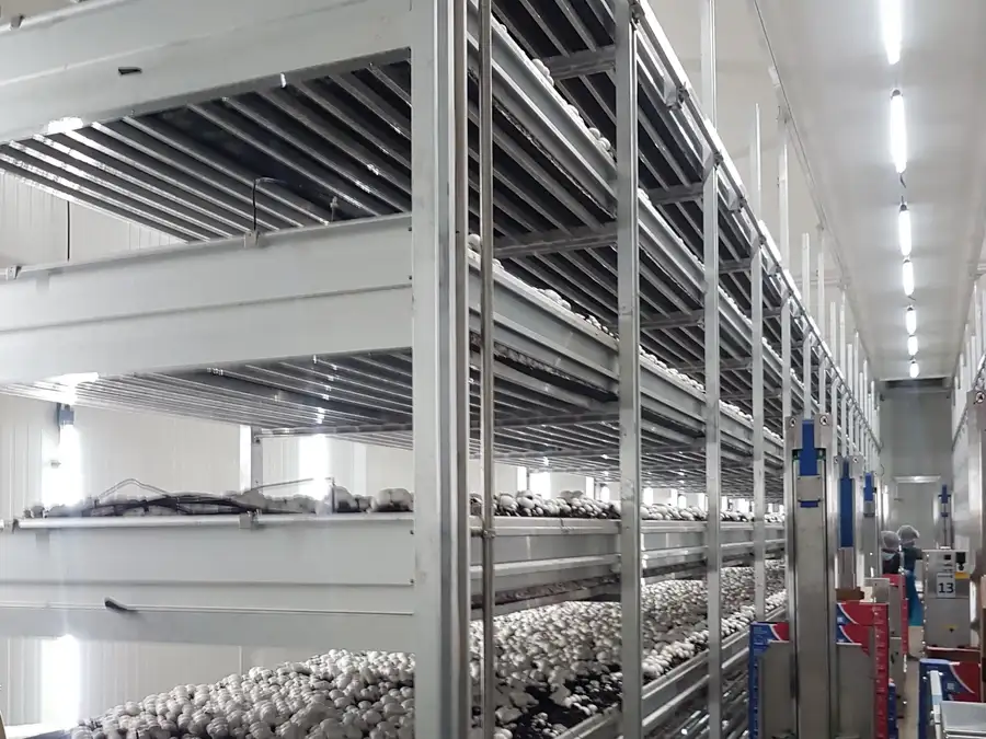 Inside agricultural building