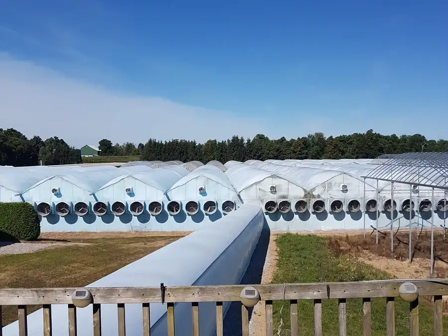 Greenhouse